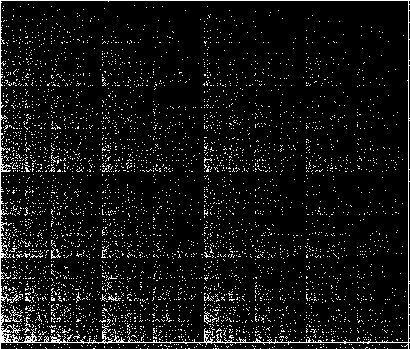 Flaechentest1